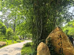-晓港公园