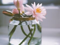 -爱尚花坊(大林路店)