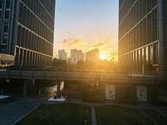 -陆家嘴世纪金融广场