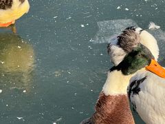 -王府井奥莱棋盘山小镇