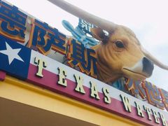 -鼎龙湾德萨斯水世界