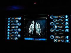 -奥兰多迪士尼动物王国乐园