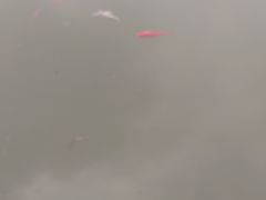 -唐山抗震纪念碑广场