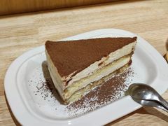 -滚猫咖啡·猫咖·猫友好撸猫(未来城店)