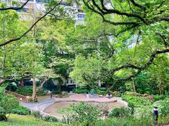 -香港大学