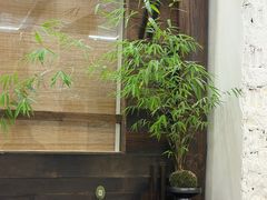 -竹子咖啡bamboo coffee