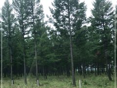 -塞罕坝国家级自然保护区