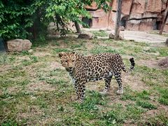 -沈阳森林动物园