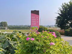 -君乐宝优致牧场