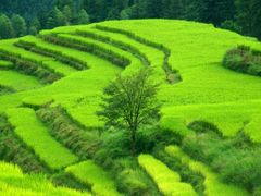 -牛鱼嘴原始生态风景区