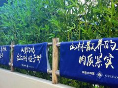 -洞庭土菜馆(天河北总店)