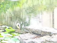 -四海公园(南山区)