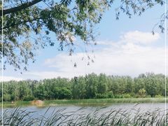-东郊湿地公园