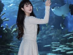 -海合安武汉极地海洋公园