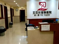 -艾贝尔宠物医院·24H转诊中心·肿瘤猫专科(江宁双龙店)