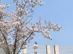 -尚贤河湿地