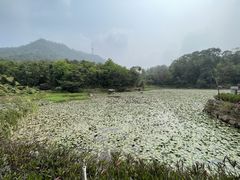 -大雁山风景区
