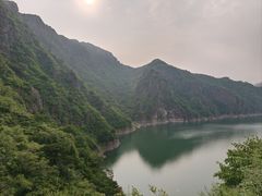 -燕塞湖鸟语林景区