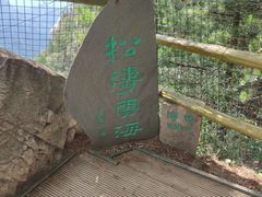 -老界岭旅游度假区