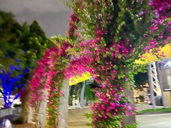 -布里斯班南岸公园