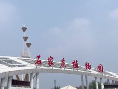 -石家庄市植物园