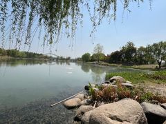 -澹台湖公园