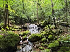 -牛背梁国家森林公园