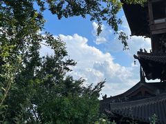 -杭州半山国家森林公园