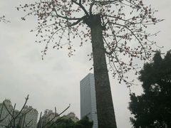 -南湖名都·景湖轩全日制餐厅·海鲜自助·东南亚风味·临湖而食