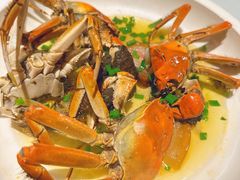 -乾隆美食·本帮菜(黄河路店)