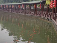 -山叶口景区