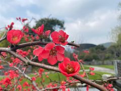 -宁波九龙湖开元度假村