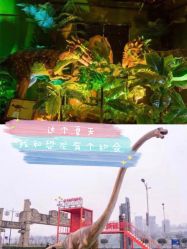 -恐龙探索乐园(磁器口店)
