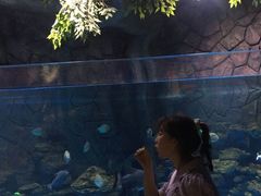 -多彩贵州城极地海洋世界