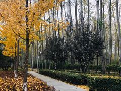-仁和公园(顺义区)
