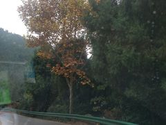 -金堂县云顶石城风景区