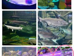 -梦幻海洋王国(吾悦广场张家港店)