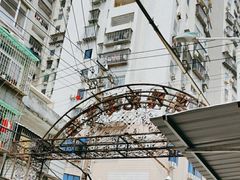 -溪岸路花鸟市场