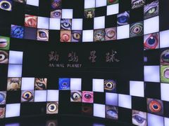 -重庆自然博物馆(新馆)