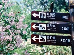 -香山公园