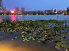 -天鹅湖体育公园
