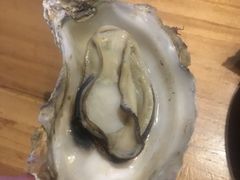 -路边摊小炉子烧烤