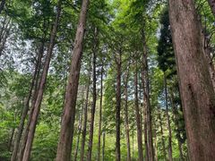 -罗田薄刀峰风景区