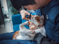 -福州肆爪动物医院
