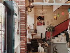 -猫小院猫主题餐厅(南锣旗舰店)