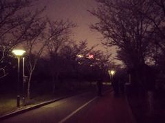 -和先生的砂锅鱼(八方汇店)