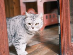 -隅cafe(傅厚岗店)