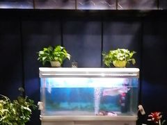 -梵SPA·影院足道·采耳(西藏北路店)