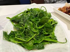 -渝信川菜(工体店)
