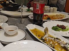 -老绍兴养和饭店(向阳不夜城店)